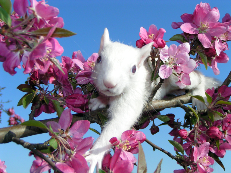 Bring Your Camera: Picture-Perfect Stops Across Downstate Illinois